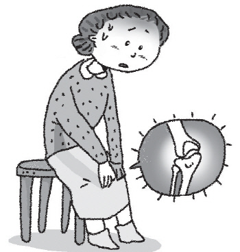 [연세사랑병원의 척추·관절 보감]‘인공관절수술’도 성별이 있다 게시글의 1번째 첨부파일입니다.