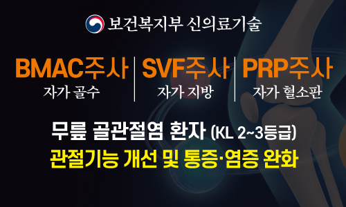 신의료기술