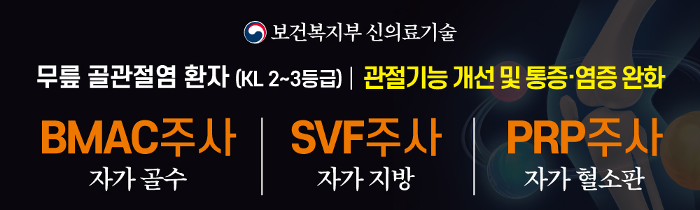 신의료기술