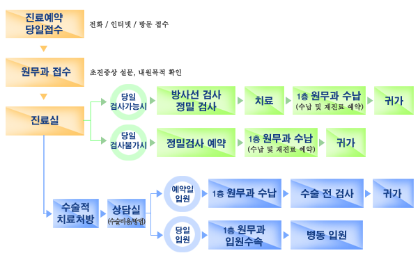 진료절차